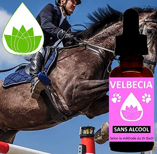 Flores de Bach Animal Competición (caballo, perro, gato) SANS ALCOOL Velbecia 30 ml – Mezcla de flores de Bach Original para permanecer concentrado y mantener su sangre fría y su control