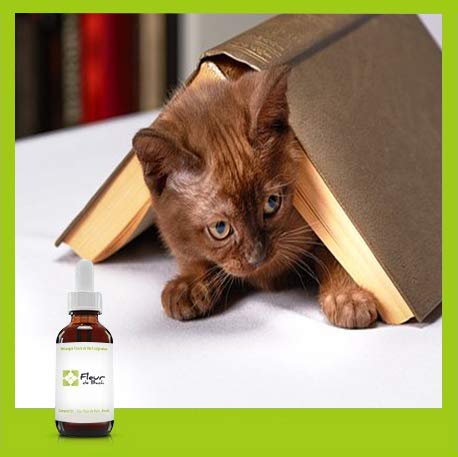 Flores de Bach gato estresado sin alcohol – Una mezcla que ayudará a su gato a calmarse (30 ml)