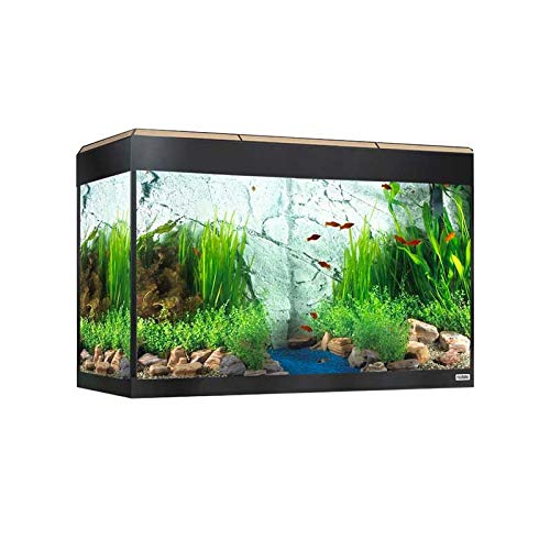 Fluval Kit de Acaurio Roma con Iluminación LED, Color Roble, 125 L