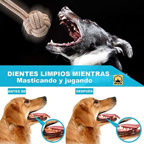 FONPOO Juguetes Perros Hecho de Algodón Natural Seguro y Saludable Adecuado para Perros Medianos y Grandes Juego de 5 Juguetes Interactivos para Perros