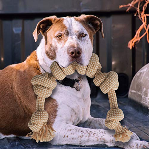 FONPOO Juguetes Perros Hecho de Algodón Natural Seguro y Saludable Adecuado para Perros Medianos y Grandes Juego de 5 Juguetes Interactivos para Perros