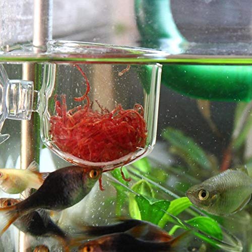 FOTABPYTITanque súper Blanco Copa de succión Copa de alimentación de Gusanos Rojos, alimentador de Acuario, para pequeños Peces(Glass Gap Cup)