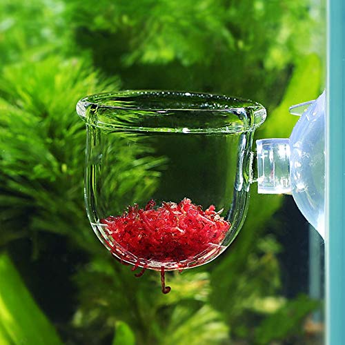 FOTABPYTITanque súper Blanco Copa de succión Copa de alimentación de Gusanos Rojos, alimentador de Acuario, para pequeños Peces(Glass Gap Cup)