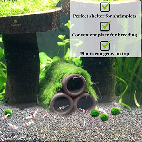 Fransande 3 piezas de caseta de cerráamica – Habitat Crevettero, tubo de elevación, caseta escondida