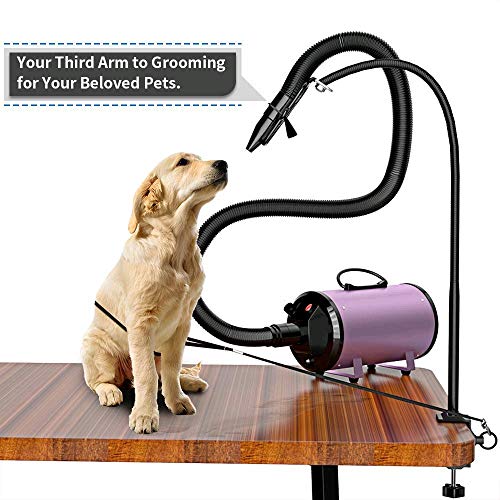 Fransande - Soporte de acero inoxidable para mesa de aseo para animales de compañía, perro, gato, secador de pelo para animales de compañía, belleza, cabello soplador