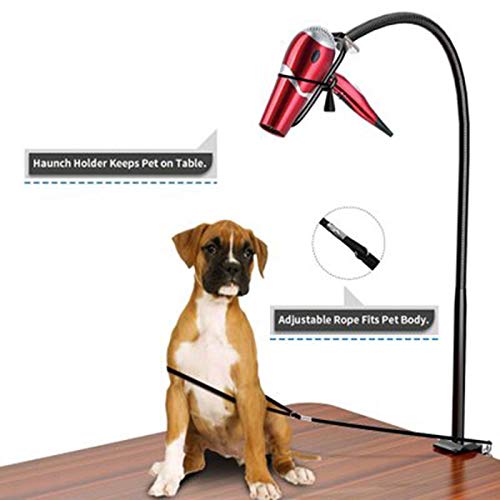 Fransande - Soporte de acero inoxidable para mesa de aseo para animales de compañía, perro, gato, secador de pelo para animales de compañía, belleza, cabello soplador