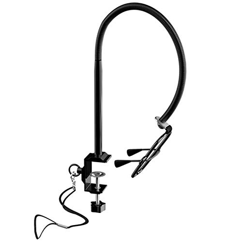 Fransande - Soporte de acero inoxidable para mesa de aseo para animales de compañía, perro, gato, secador de pelo para animales de compañía, belleza, cabello soplador
