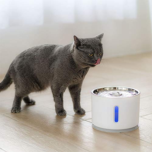 Fuente de agua para gatos, dispensador de agua para mascotas con LED de acero inoxidable, con 6 filtros, bomba de apagado automático inteligente, nivel claramente visible, para animales pequeños