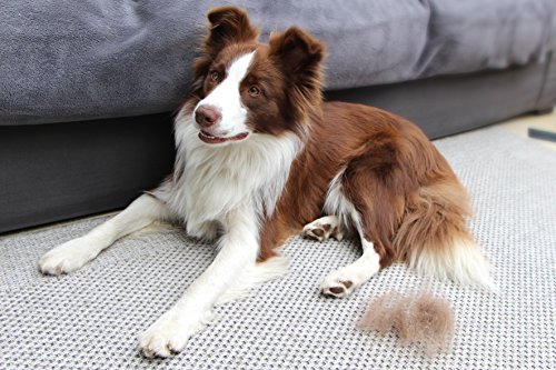 Furminator FURflex Small Dog Contour Head S