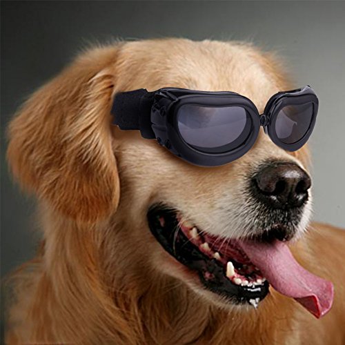Gafas de sol para mascotas, con protección UV, impermeables, cortavientos y con efecto antivaho para mascotas pequeñas