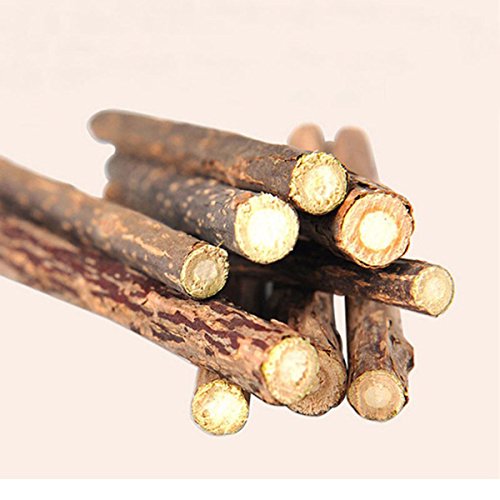 Gaoominy 5pzs Actinidia polygama Natural Bocadillo de Mascota Palillo para Masticar de Gato Juguete de Tratar Hierba gatera Comida Molar Menta de Gato