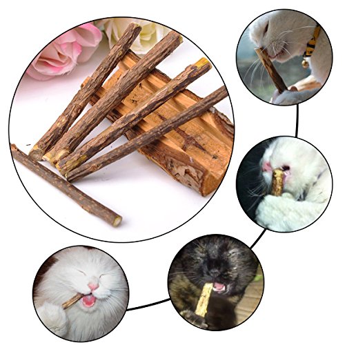 Gaoominy 5pzs Actinidia polygama Natural Bocadillo de Mascota Palillo para Masticar de Gato Juguete de Tratar Hierba gatera Comida Molar Menta de Gato