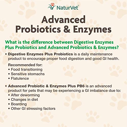 GARMON CORP naturvet Probiotics Avanzada y enzimas Plus Vet Fuerza PB6 Probiotic para Dental para Perros, Suave, Fabricado en Estados Unidos