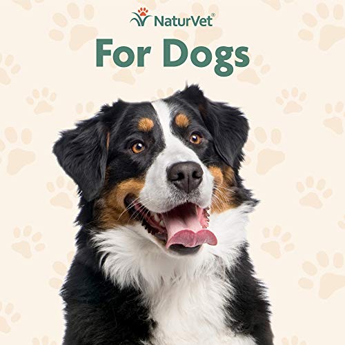 GARMON CORP naturvet Probiotics Avanzada y enzimas Plus Vet Fuerza PB6 Probiotic para Dental para Perros, Suave, Fabricado en Estados Unidos