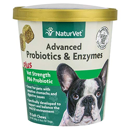 GARMON CORP naturvet Probiotics Avanzada y enzimas Plus Vet Fuerza PB6 Probiotic para Dental para Perros, Suave, Fabricado en Estados Unidos