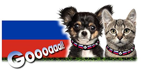 Gato Collar y el collar de perro banda fancat/fandog – Diseño Rusia – Talla S …