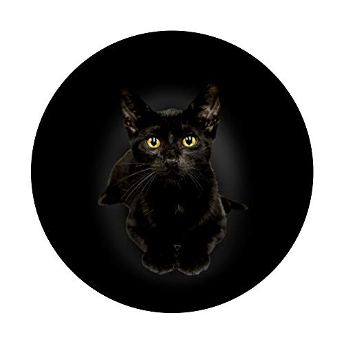 Gato negro, ojos amarillos, lindo para los dueños de gatos PopSockets Agarre y Soporte para Teléfonos y Tabletas