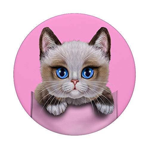 Gato ragdoll en el bolsillo PopSockets PopGrip: Agarre intercambiable para Teléfonos y Tabletas