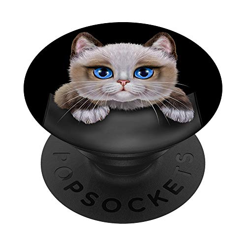 Gato ragdoll en el bolsillo PopSockets PopGrip: Agarre intercambiable para Teléfonos y Tabletas