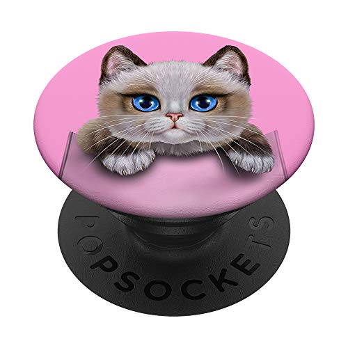 Gato ragdoll en el bolsillo PopSockets PopGrip: Agarre intercambiable para Teléfonos y Tabletas