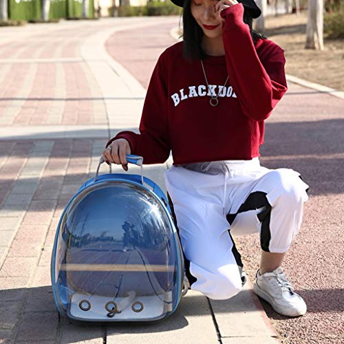 GHBOTTOM Bolsa de escuela, bolsa de escuela, bolsa de transporte para loros de mascotas, bolsa de viaje con cápsula de espacio transparente mochila transpirable de 360 grados