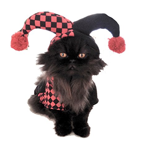Glamour Girlz Disfraz de payaso pequeño de raza de perro solo gato divertido vestido hasta corte bufón traje de payaso niña niño jersey de disfraz XL