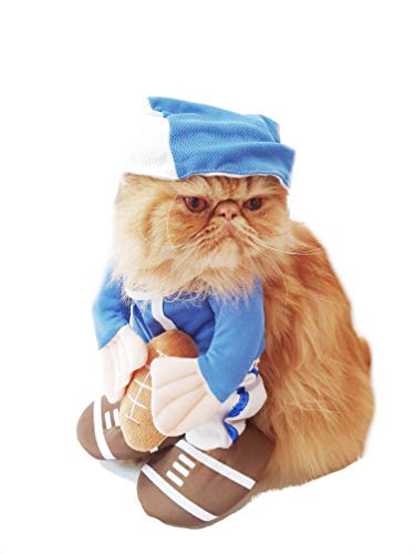 Glamour Girlz divertido perro gato americano fútbol deportes atleta Halloween disfraz
