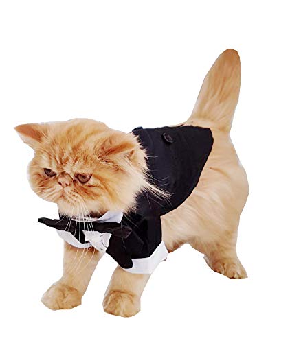 Glamour Girlz - Traje de traje de chico para niñas (XXL), diseño de raza de perro y gato, color blanco y negro