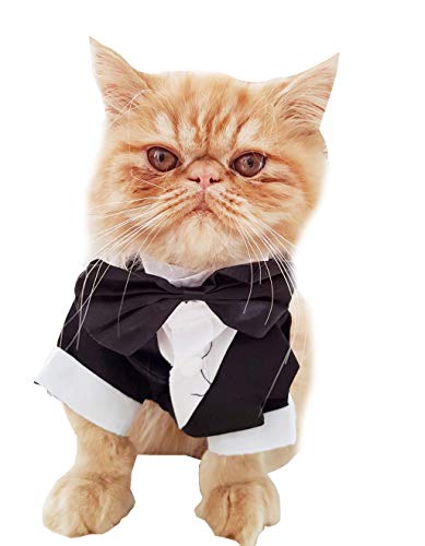 Glamour Girlz - Traje de traje de chico para niñas (XXL), diseño de raza de perro y gato, color blanco y negro