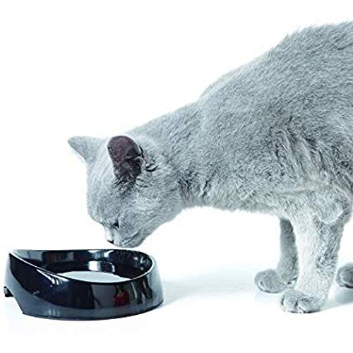 Global Bebedero para Gatos Whisker | Cuenco para Gatos | Plato para Gatos persas