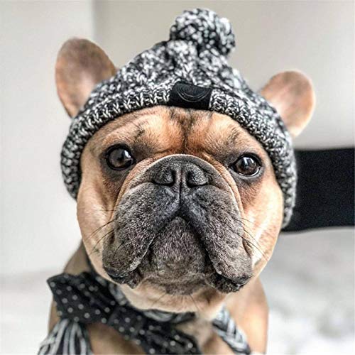 Gorro Cálido para Mascotas, Cálido Gorro De Punto De Invierno para Perros, Capucha para Calentar El Cuello Y Las Orejas, Gorro A Prueba De Viento para El Invierno