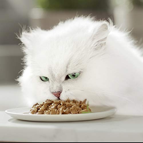Gourmet Mon Petit - Comida para Gato Adulto. Sabores Variados