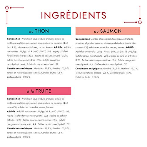 Gourmet Mon Petit - Comida para Gato Adulto. Sabores Variados