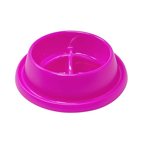 GP GP10076 Comedero Slow Food Adagio Anti-Glotonería