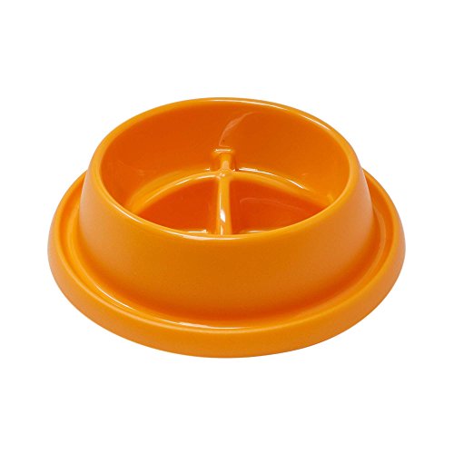 GP GP10076 Comedero Slow Food Adagio Anti-Glotonería
