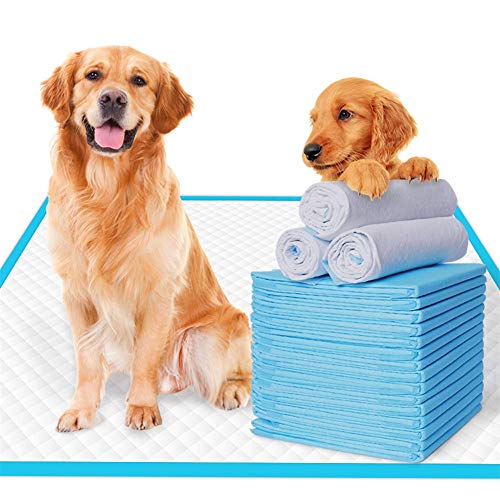 Gqiu Almohadillas de Entrenamiento para Cachorros absorbentes Extremadamente Fuertes Almohadillas para orinar para Perros Mascotas Inodoro Orinal Prueba de Fugas tamaño S/M/L/XL,Standard,S33*45cm