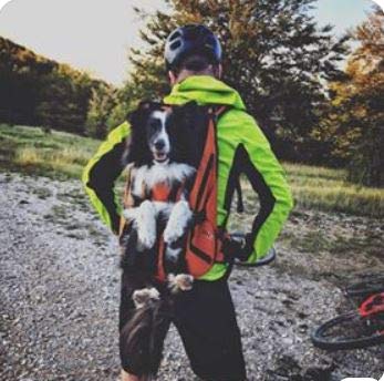 GRAN Bolsa para perros / Arnés de transporte para perros/ mochila para perros / portador de perros / bolsa para perros / mochila para perros / bolsa para perros de 7-16kg