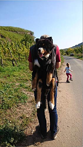 GRAN Bolsa para perros / Arnés de transporte para perros/ mochila para perros / portador de perros / bolsa para perros / mochila para perros / bolsa para perros de 7-16kg