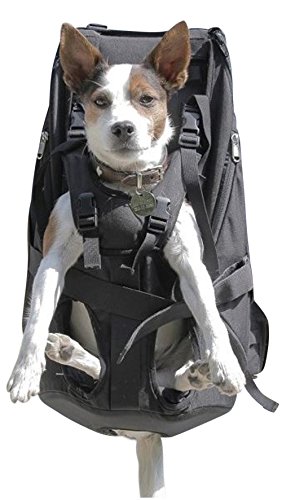 GRAN Bolsa para perros / Arnés de transporte para perros/ mochila para perros / portador de perros / bolsa para perros / mochila para perros / bolsa para perros de 7-16kg