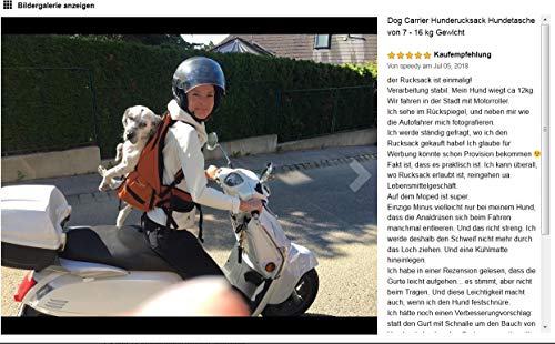 GRAN Bolsa para perros / Arnés de transporte para perros/ mochila para perros / portador de perros / bolsa para perros / mochila para perros / bolsa para perros de 7-16kg