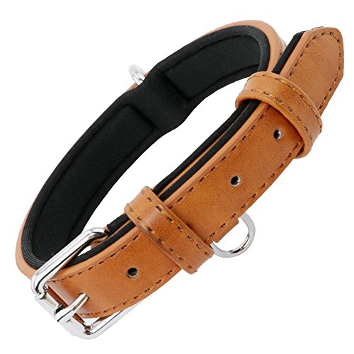 Grand Line Collar de Perro de Cuero Duradero Acolchado Suave con Perforador de Agujeros, Marrón(S)