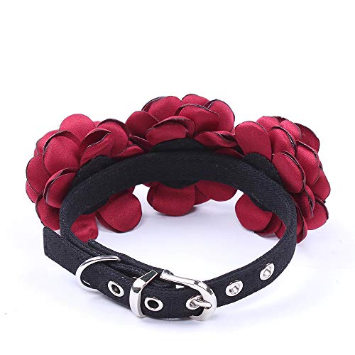 Greenville Collar para Perro Diseño de Flores | Rosas | (Rojo)