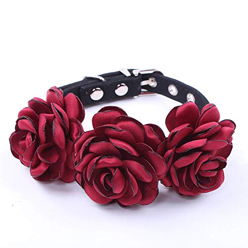 Greenville Collar para Perro Diseño de Flores | Rosas | (Rojo)
