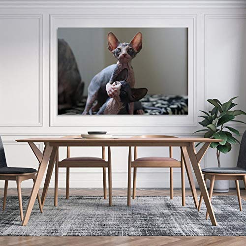 GUKEY Póster de pared con diseño de gato y animales de la esfinge, mamíferos y gatos, 30 x 45 cm