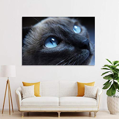 GUKEY Póster decorativo de pared con diseño de gatos y gatos siameses, mamíferos y ojos de animales, 60 x 90 cm