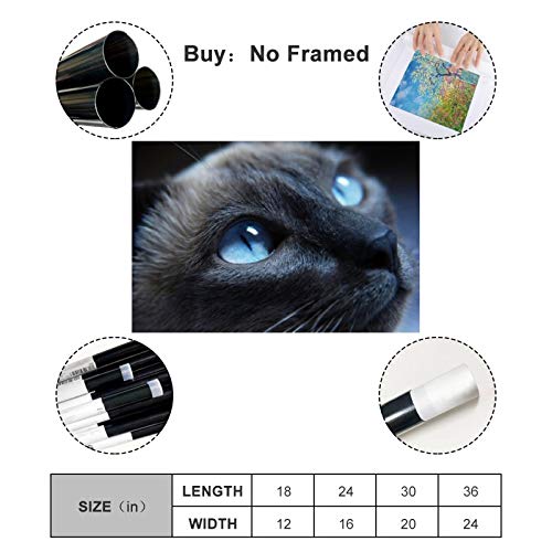 GUKEY Póster decorativo de pared con diseño de gatos y gatos siameses, mamíferos y ojos de animales, 60 x 90 cm