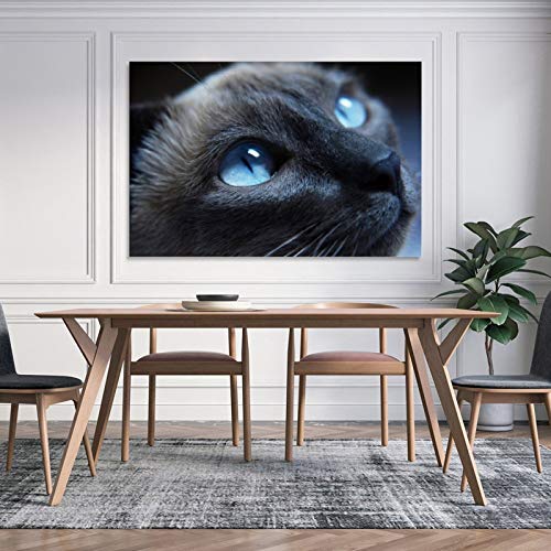 GUKEY Póster decorativo de pared con diseño de gatos y gatos siameses, mamíferos y ojos de animales, 60 x 90 cm
