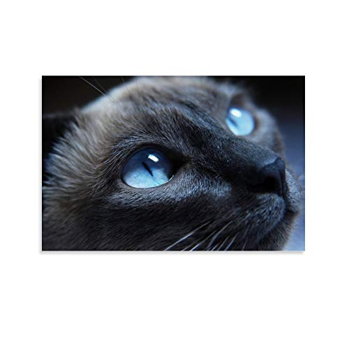 GUKEY Póster decorativo de pared con diseño de gatos y gatos siameses, mamíferos y ojos de animales, 60 x 90 cm