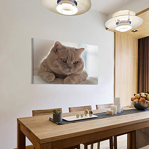 GUKEY Póster decorativo de pared, diseño de gatos y animales con orejas de gato, 20 x 30 cm