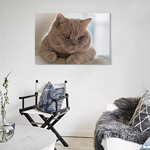 GUKEY Póster decorativo de pared, diseño de gatos y animales con orejas de gato, 20 x 30 cm